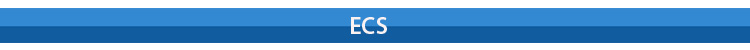 ECS